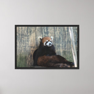 Impression sur toile tendue ambiance panda roux