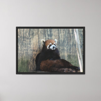 Impression sur toile tendue ambiance panda roux