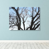 Impression sur toile tendue d'arbre (Insitu (Plancher de Bois))