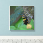 Impression sur toile tendue d'art naturel macro do (Insitu (Plancher de Bois))