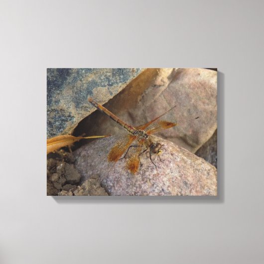 Impression sur toile tendue de photographie de lib (Recto)