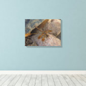 Impression sur toile tendue de photographie de lib (Insitu (Plancher de Bois))