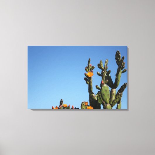 Impression sur toile tendue de plante de cactus en (Recto)