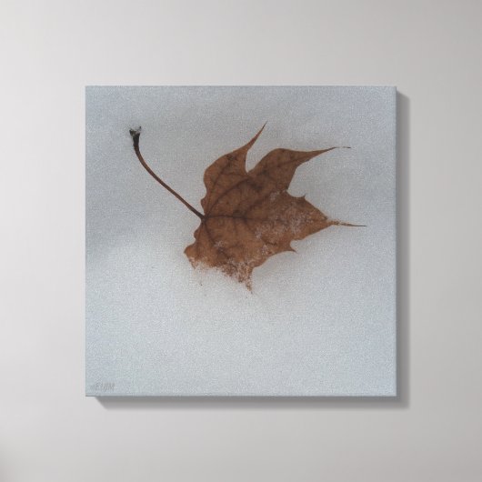 Impression sur toile tendue de transitions saisonn (Recto)
