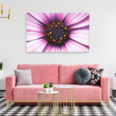 Impression sur toile tendue d'Osteospermum fleur v (Insitu(Salon))