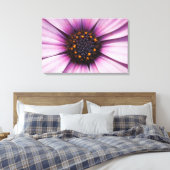 Impression sur toile tendue d'Osteospermum fleur v (Insitu(Chambre))