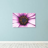 Impression sur toile tendue d'Osteospermum fleur v (Insitu (Plancher de Bois))