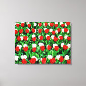 Impression sur toile tendue tulipes (Recto)