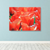 Impression sur toile tendue tulipes (Insitu (Plancher de Bois))