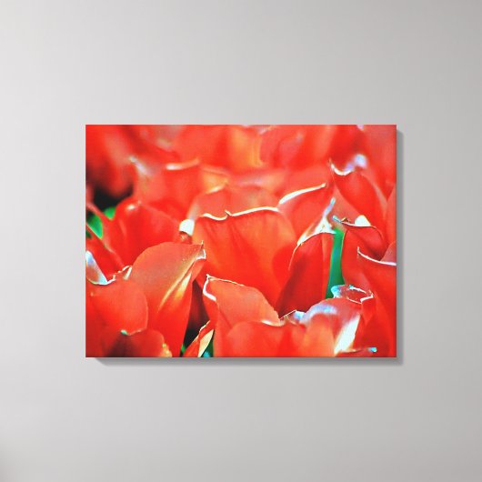 Impression sur toile tendue tulipes (Recto)