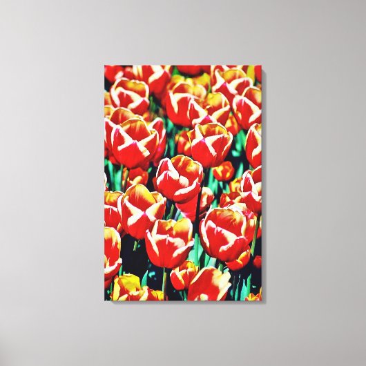 Impression sur toile tendue tulipes (Recto)