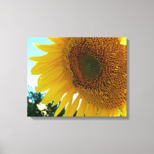 Impression sur toile - Tournesol et abeille