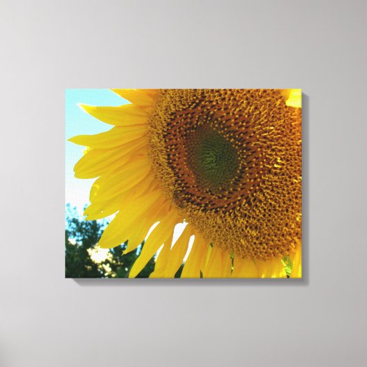 Impression sur toile - Tournesol et abeille (Recto)