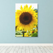 Impression sur toile - Tournesol isolé (Insitu (Plancher de Bois))