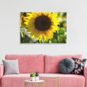 Impression sur toile - Tournesol isolé dans un cha (Insitu(Salon))