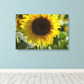 Impression sur toile - Tournesol isolé dans un cha (Insitu (Plancher de Bois))