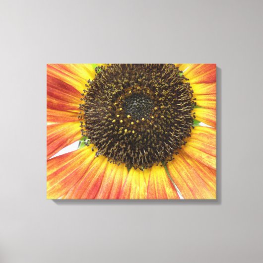 Impression sur toile tournesol orange (Recto)
