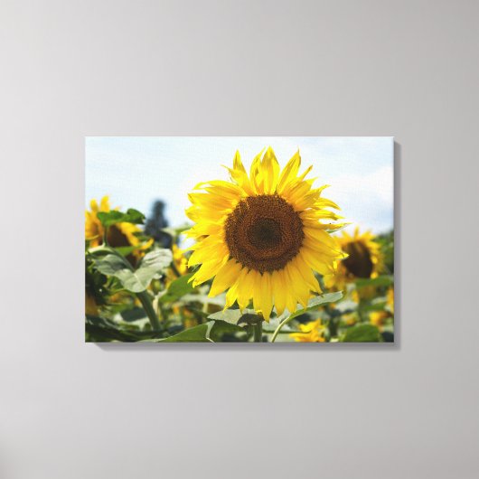Impression sur toile - Tournesol vibrant (Recto)