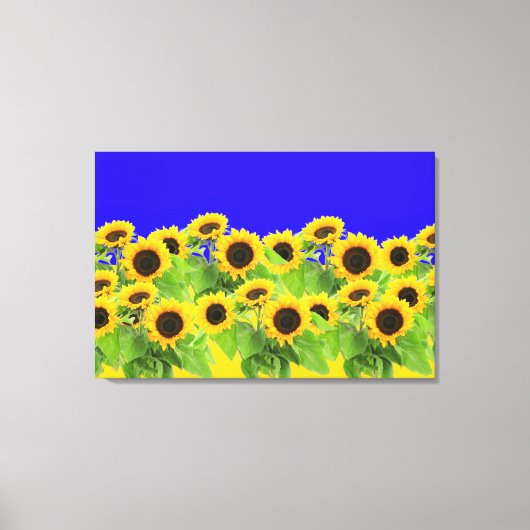 Impression sur toile Tournesols (Recto)