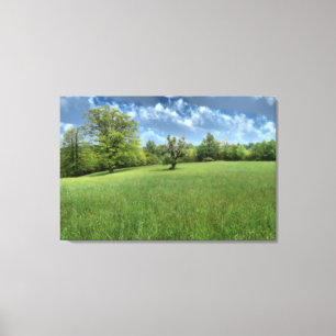 Impression sur toile verte des Appalaches