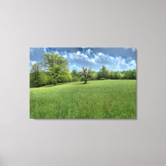 Impression sur toile verte des Appalaches (Recto)