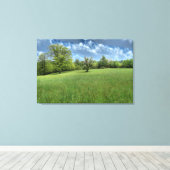 Impression sur toile verte des Appalaches (Insitu (Plancher de Bois))