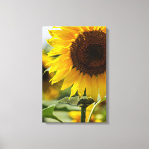 Impression sur toile - Vibrance estivale de tourne