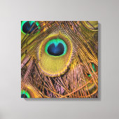 Impression sur toile Yeux de plumes de paon (Recto)