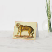 Impression tigre 1824 (Devant)