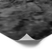 Impression Tigre Est (Coin)