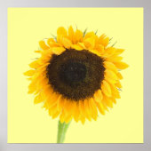 Impression Tournesol (Devant)