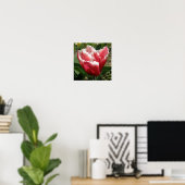 Impression Tulipe à franges roses (Bureau à domicile)