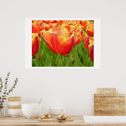 Impression Tulipe de secours (Cuisine)
