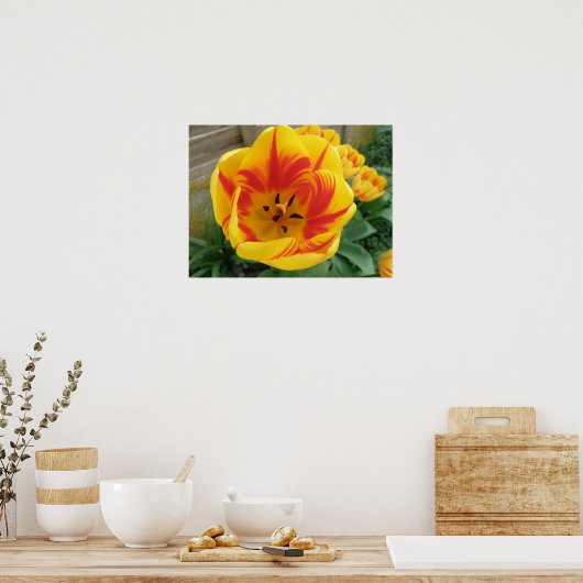 Impression Tulipe flamme (Cuisine)