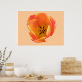 Impression Tulipe orange (Cuisine)
