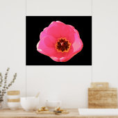 Impression Tulipe rose (Cuisine)