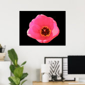 Impression Tulipe rose (Bureau à domicile)