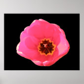 Impression Tulipe rose (Devant)