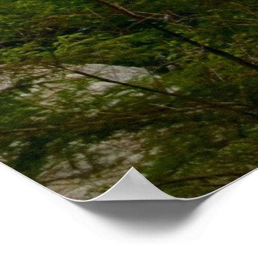 Impression Twin Falls (Coin)