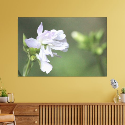 Impression verte d'olive (Insitu(Salon))