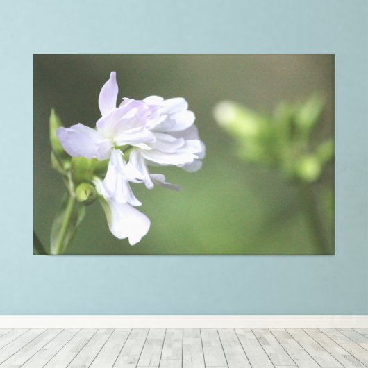 Impression verte d'olive (Insitu (Plancher de Bois))