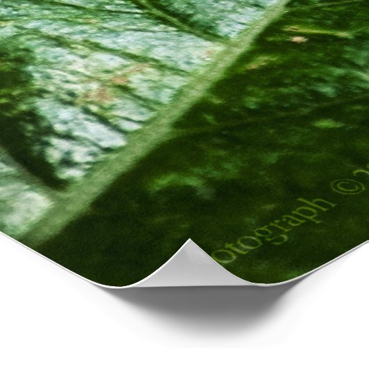 Impression verte dynamique (Coin)