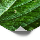 Impression verte dynamique (Coin)