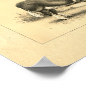 Impression vintage Bull 1888 (Coin)