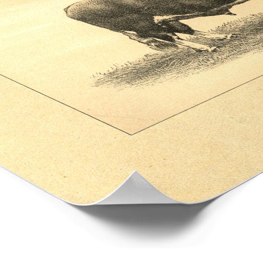 Impression vintage Bull 1888 (Coin)