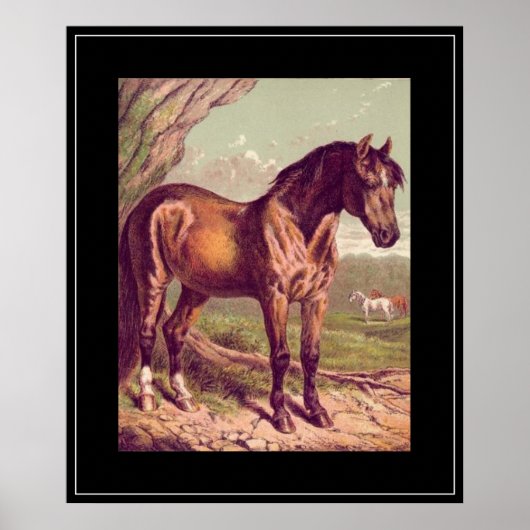 Impression vintage cheval 1800 (Devant)