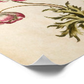 Impression vintage d'anémones florales (Coin)
