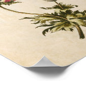 Impression vintage d'anémones florales (Coin)