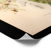 Impression Vintage de fleurs d'orchidées 1860 (Coin)