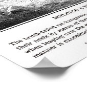 Impression vintage de Kangaroo Rat (Coin)